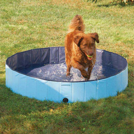 Guardian Gear Cool Pup Splash About Dog Pool