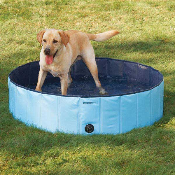 Guardian Gear Cool Pup Splash About Dog Pool