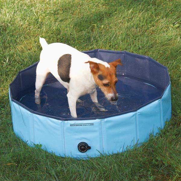 Guardian Gear Cool Pup Splash About Dog Pool