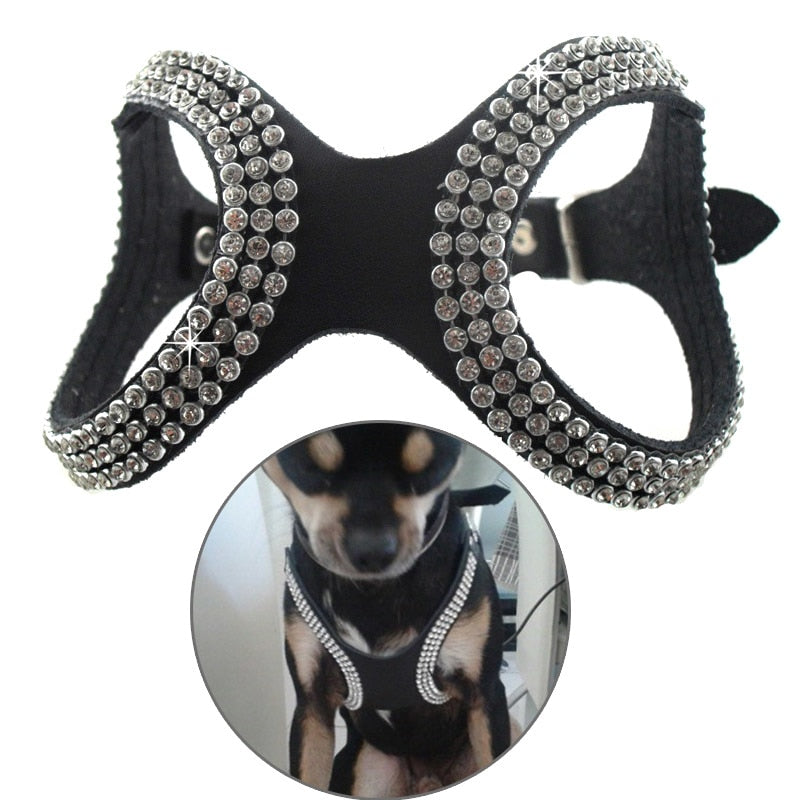 Blinged Out Leather Harness