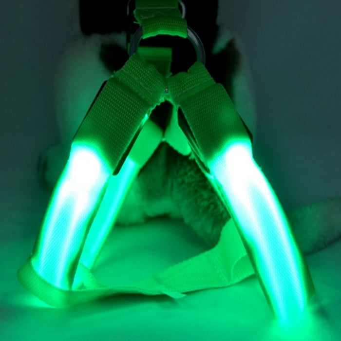 Bright LED Lighted Harness