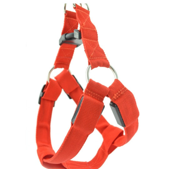 Bright LED Lighted Harness