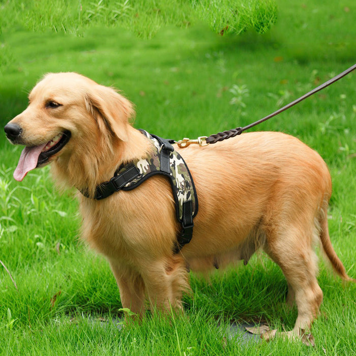 Heavy Duty Dog Harness