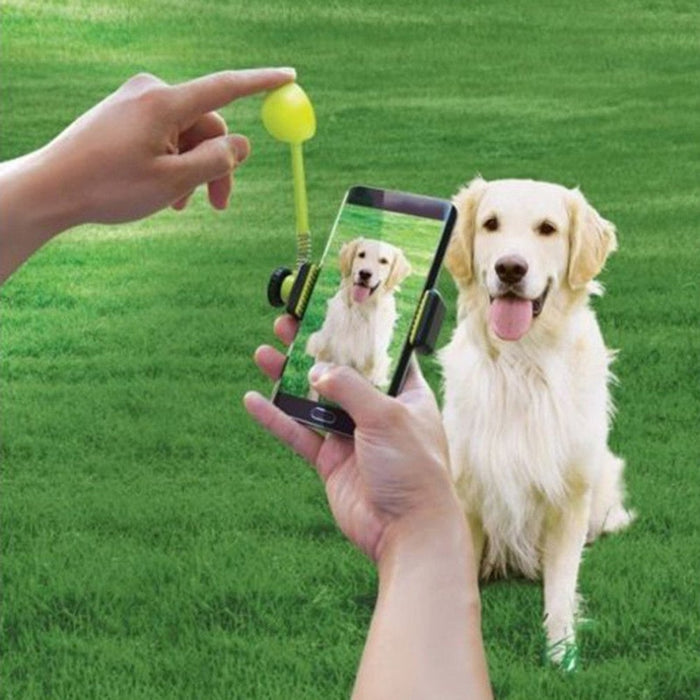 Perfect Pictures Cellphone Treat Launcher