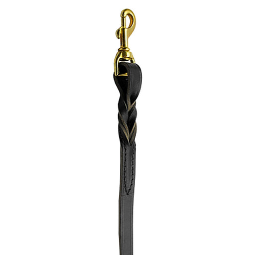 Twist Genuine Leather Dog Leash