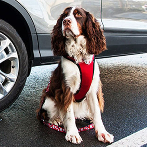 Vented Vest Car Seat Dog Harness - V2